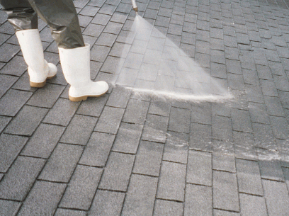 A Roof Cleaning Cost