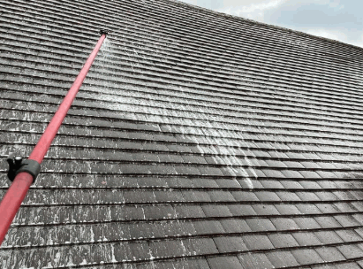 Chemical Cleaning Your Roof